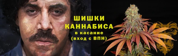 ГАЛЛЮЦИНОГЕННЫЕ ГРИБЫ Аркадак