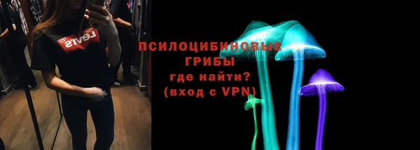 ГАЛЛЮЦИНОГЕННЫЕ ГРИБЫ Аркадак
