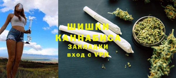 ГАЛЛЮЦИНОГЕННЫЕ ГРИБЫ Аркадак