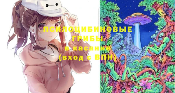метадон Осташков